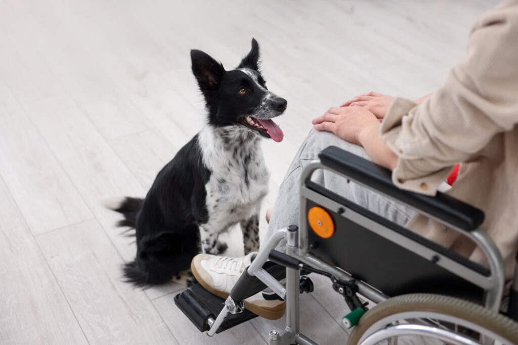 Terapia Asistida con Perros